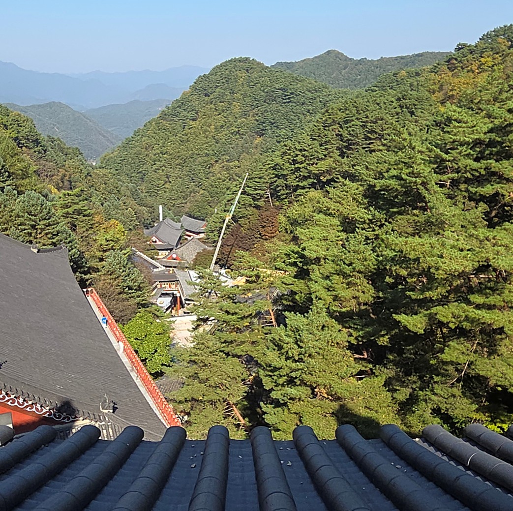 구인사 3